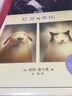 凯迪克银奖绘本：红豆与菲比 精装新版（麦克米伦世纪童书馆） 实拍图