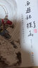 《西游记》探幽：《西游真诠》《西游原旨》合刊 实拍图