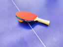 红双喜DHS狂飚五星乒乓球拍横拍反胶弧圈结合快攻H5002含拍包 实拍图