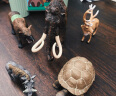 MECHILE仿真动物模型玩具套装儿童野生动物园认知大象老虎六一儿童节礼物 动物18件套装 晒单实拍图