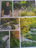 造一座花园：英国皇家园艺学会设计创意指南 晒单实拍图