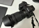 尼康（Nikon）尼克尔 Z 24-120mm f/4 S 全画幅 微单 多倍变焦镜头 尼康镜头 新闻/街拍 晒单实拍图