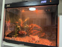 森森金麟超白玻璃鱼缸客厅小型懒人鱼缸LE-380B家用水族箱生态金鱼缸 晒单实拍图