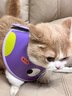 KimPets宠物伊丽莎白圈猫咪防舔头套狗狗防抓挠防咬项圈脖圈绝育驱虫用品 【轻盈无拘束】大眼萌萌 M(颈围24-31cm 适合6-13斤宠物) 实拍图