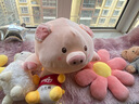 捉趣（ZHUOQU）小猪公仔可爱创意毛绒玩具玩偶陪睡抱枕靠垫娃娃玩偶女生生日礼物 BOBO猪呆萌款 50cm 实拍图