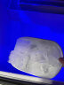 艾斯弗莱制冰机商用全自动奶茶店咖啡店KTV方块冰宿舍制作机器专用中大型大容量制冰机冰块机 45颗日产68公斤初开小型店铺 晒单实拍图