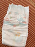 帮宝适一级帮拉拉裤®XXL50+6片(15kg以上)尿裤尿不湿 超薄透气 散热 实拍图