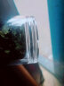 天喜（TIANXI）水杯玻璃杯大容量杯子家用双层便携男女士过滤泡茶杯随手杯印字 黑色350ml 实拍图