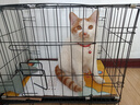 憨憨乐园猫咪牵引绳猫绳防挣脱溜遛猫绳神器猫链子背带可调节猫咪牵引绳 实拍图