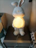 初见北欧落地灯客厅沙发旁可调光月球灯卧室床头设计感氛围灯立式摆件 大白兔落地灯【三色调光款】 实拍图