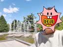 德玛纳（dme）衬衫桑蚕丝圆领短袖T恤衬衣轻薄休闲真丝女上装 灰绿 L 实拍图