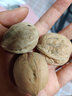 林谷森园 纸皮核桃 净重500g 薄皮手捏无漂白 休闲坚果零食大核桃带壳散装 实拍图