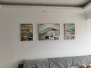 Sixpoetry 客厅装饰画现代简约沙发背景墙壁画轻奢三联晶瓷画大气高档挂画 时运亨通（铝合金外框） 晶瓷画左右40*60+中间80*60亮面 实拍图