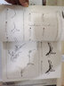 白描技法从入门到精通（绘客出品） 实拍图