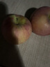 岸上人家山西红富士苹果水果脆甜冰糖心丑苹果新鲜时令水果整箱水果75mm+ 带箱1斤装单果70mm+小果 实拍图