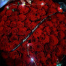 来一客鲜花速递99朵红玫瑰花束生日礼物表白送女友全国同城配送 99朵红玫瑰仙女款 实拍图
