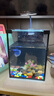 爬将军桌面斗鱼缸超白鱼缸迷你小型家用客厅办公室生态懒人水草缸 15cm缸（带盖+灯） 实拍图