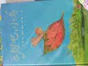 飞翔吧，小鸟   国际绘本大师安德烈·德昂作品  3-6岁（启发出品）  实拍图