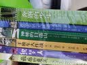 长青藤国际大奖小说第四辑：小荷马的大冒险、明天会有好运气、倩达的秘密等中小学生课外阅读必读书目（套装共6册） 实拍图