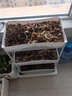 唯良（WEILIANG）多功能阳台花架落地室内花架种菜架多层花架置物架客厅花架子 白色3层【带辅助储水膜片】 实拍图