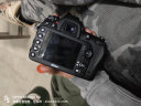 尼康（Nikon） D/Z/J系列 单机身 全画幅数码微单单反相机 二手尼康相机 D7100 机身 颜色可参考质检报告 晒单实拍图