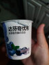 达芬奇（Davinci）原味净酸奶100g*3杯 低温酸奶10种益生菌 0添加剂 风味发酵乳 实拍图