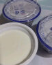 伊利老酸奶 传承古法工艺138g*12杯 低温酸牛奶 实拍图