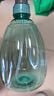 喷壶浇花浇水喷雾器气压式喷水壶家用园艺养花500ml 南瓜喷壶透蓝【1个装】 实拍图