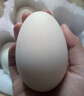我老家 新鲜生鹅蛋 农家散养大鹅蛋 孕妇宝宝营养辅食鲜鹅蛋 6枚装 单枚120-140g 实拍图