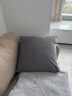 La Torretta 抱枕靠垫 办公室腰枕靠枕床头简约可拆洗纯色天鹅绒沙发垫 灰 晒单实拍图