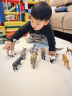 babycare&bctoys动物玩具动物桶熊猫老虎狮子长颈鹿模型玩具 晒单实拍图