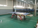 双鱼（DOUBLE FISH）双鱼标准乒乓球台233室内家用移动折叠式乒乓球桌案子家用大赛台 翔云328A（25MM） 实拍图