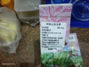恬上心台湾高山茶正宗冻顶乌龙茶进口梨山高冷茶杉林溪浓香型阿里山茶叶 阿里山奶香鲜爽 150g*1袋 150克 实拍图