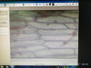 凤凰（Phenix）生物显微镜单目XSP-02-640倍小学初中生中考教学同款儿童生日礼物 套餐二：特配+电子目镜连接电脑 实拍图