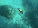 WATERTIME/水川 潜水镜浮潜装备潜水面罩全干式呼吸管水下呼吸器泳镜套装 实拍图