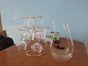青苹果（QINGPINGGUO） 欧式水晶红酒杯套装6只家用大号酒杯创意葡萄醒酒器玻璃高脚杯 水晶天鹅+10杯架+勃艮第x10 450ml 实拍图