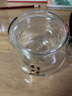 美斯尼 茶杯耐热玻璃杯水杯泡花茶杯带过滤加厚办公杯茶水分离杯喝水杯 牛气冲天（女） 400ml 实拍图