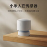 小米（MI）人在传感器 智能家居 电池供电 低功耗长续航 便捷安装 小米澎湃智联 米家 小米人在传感器 实拍图