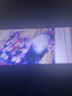 琴棋书画钻石绣新款5D钻石画满钻客厅卧室餐厅小画花卉紫罗兰自己手工贴钻 满钻【30*40厘米】钻量多配30% 实拍图