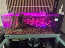 CRAZY PLANT鱼缸灯led灯防水可调色造景射灯纳米气泡条潜水灯增氧照明一体 14.5cm 七彩渐变色款(适合20-30CM) 实拍图