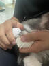 柒哦猫指甲剪猫咪指甲钳引力推推剪宠物小盲剪圆孔剪可调节宠物指甲刀 猫咪指甲剪【蓝色】 实拍图