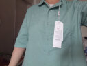 衣典零一（LEDIALYI）2024夏季女装新款休闲洋气中年短袖棉麻衬衫女夏天短款薄衬衣上衣 绿色 XXL（推荐135-150斤） 实拍图