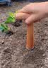 CPAI种菜专用工具神器农业施肥打孔器泥土打洞移苗器家用园艺播种移栽 木柄打洞器 无规格 实拍图