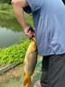Sufix梭飞士832鱼线8编PE编织线 强拉力远投黑坑海钓路亚主线渔具 120米翠绿色 2.0#0.24mm 实拍图