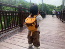 诺狐（NOHOO）儿童书包男女孩 幼儿园双肩背包卡通动物防走失绳小包狮子中号 实拍图