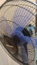 奥克斯(AUX)电风扇/落地扇/家用风扇/五叶大风量电风扇FS-40-A1613（2.7米线） 实拍图
