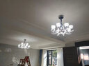 韵钰 欧式客厅吊灯大气家用法式餐厅吊灯轻奢水晶卧室灯具陶瓷吊灯 12头-配全光谱三色光源 实拍图