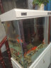 索一鱼缸水族箱客厅大型家用落地轻奢龙鱼缸超白玻璃生态智能底滤 优雅白色 屏风款长100*宽40*缸高75/柜高80cm 晒单实拍图