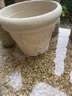 爱丽思（IRIS）花盆简约环保大花盆园艺花卉盆树脂波纹浮雕加厚花盆 12号浅米色14L 实拍图
