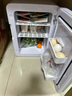 新飞 （Frestec）车载冰箱办公室迷你小冰箱母乳冰箱小型家用宿舍单门式车冷暖箱 皓月白-双核款 车家两用 20L 实拍图